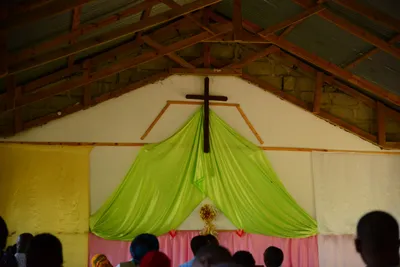 DSC_8332 (Large).JPG